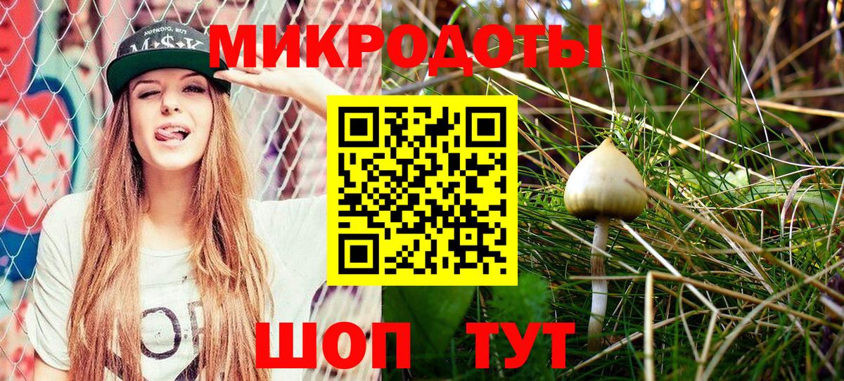 Галлюциногенные грибы Cubensis  Вход с VPN  Богданович 
